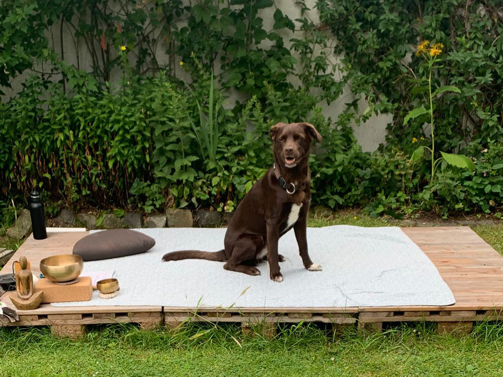 FeelFreeYoga-Hund-im-Garten-4zu3